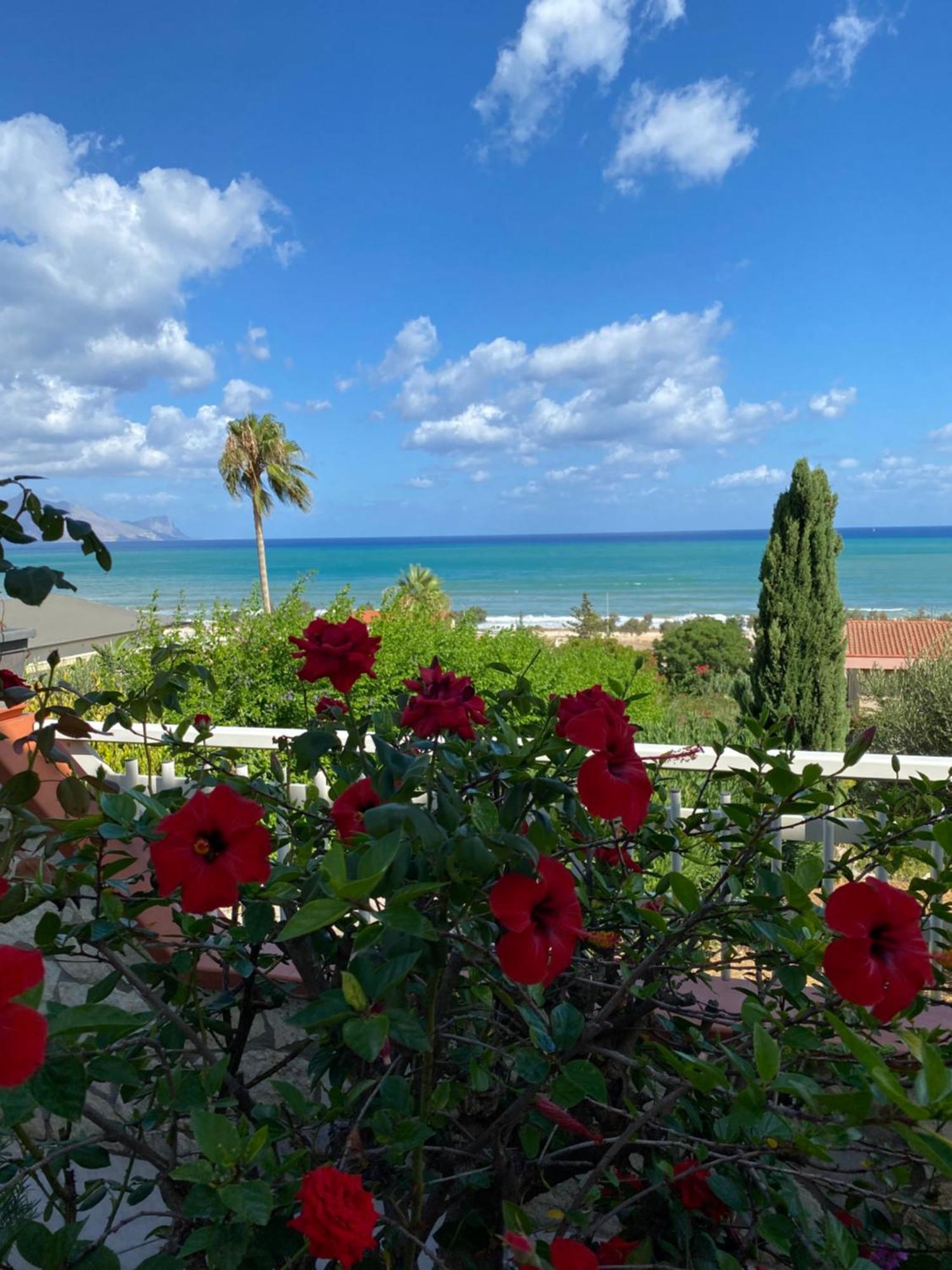 Villa Mare Giuggiola ألكامو مارينا المظهر الخارجي الصورة